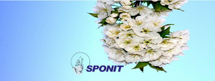 SPONIT updated their cover photo.